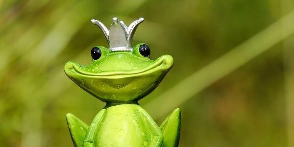 蛙の王子