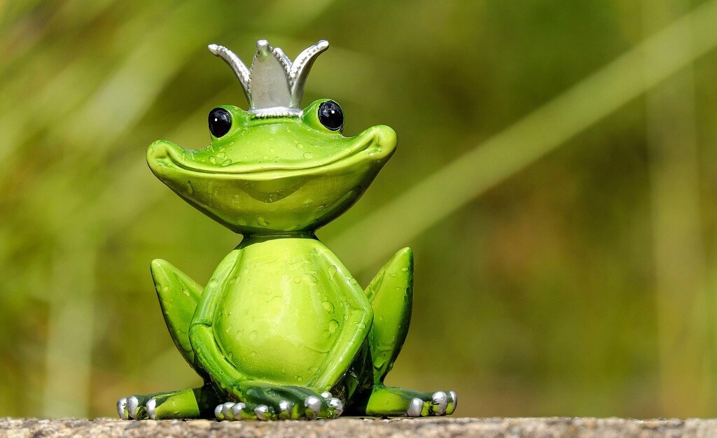 王冠をかぶった蛙